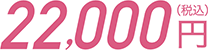 22,000円（税込）