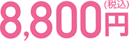8,800円（税込）