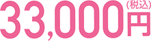 33,000円（税込）