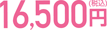 16,500円(税込)