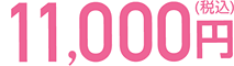 11,000円(税込)